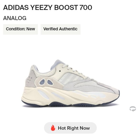 Adidas YEEZY boost 700 Analog